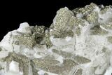 Sparkling Pyrite Crystals on Calcite - China #182499-4